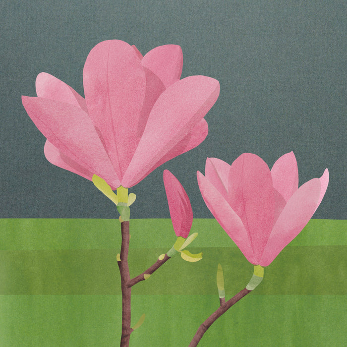 Magnolia giclée print (FC108)