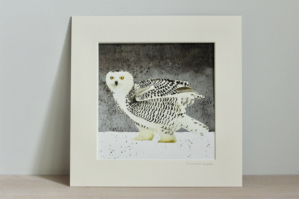Snowy Owl giclée print (FC33)