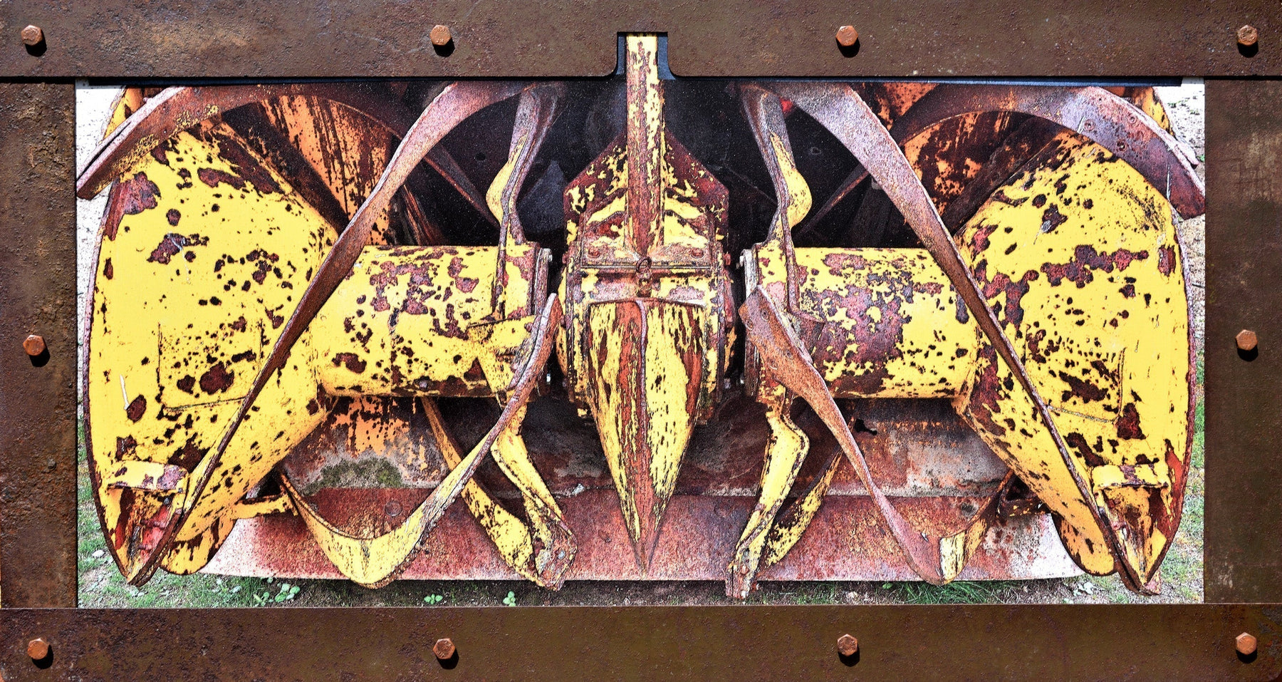 Organic Inorganic: Nigel Williams at Prema Arts Centre