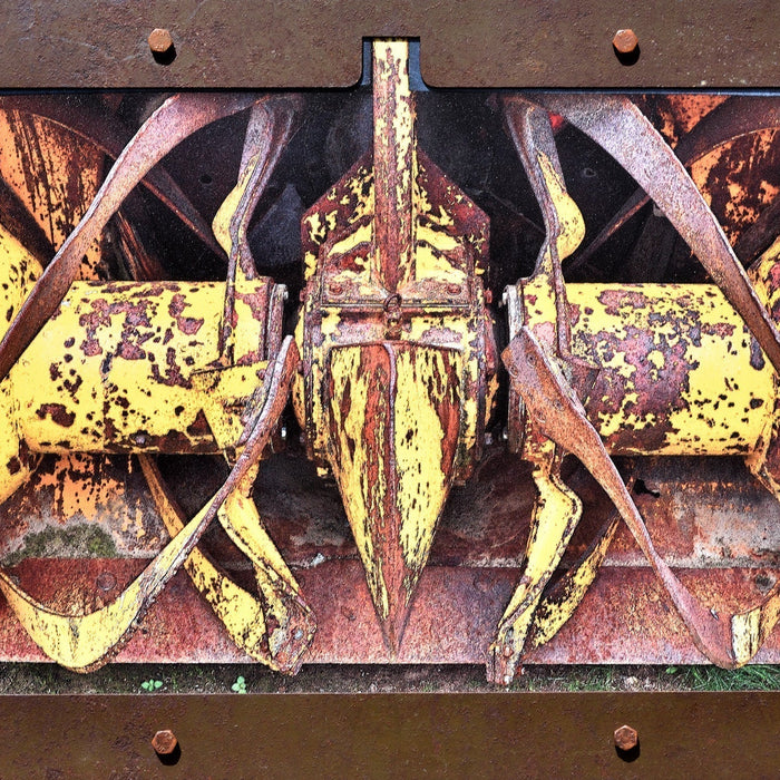 Organic Inorganic: Nigel Williams at Prema Arts Centre
