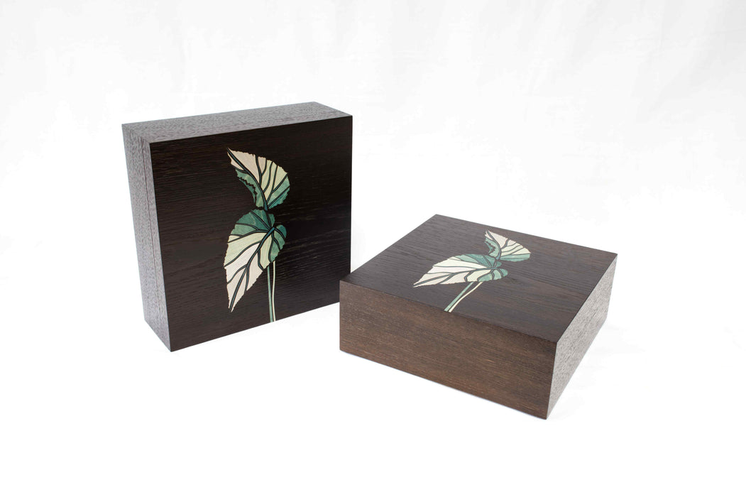 Begonia Leaf Box (KS176)