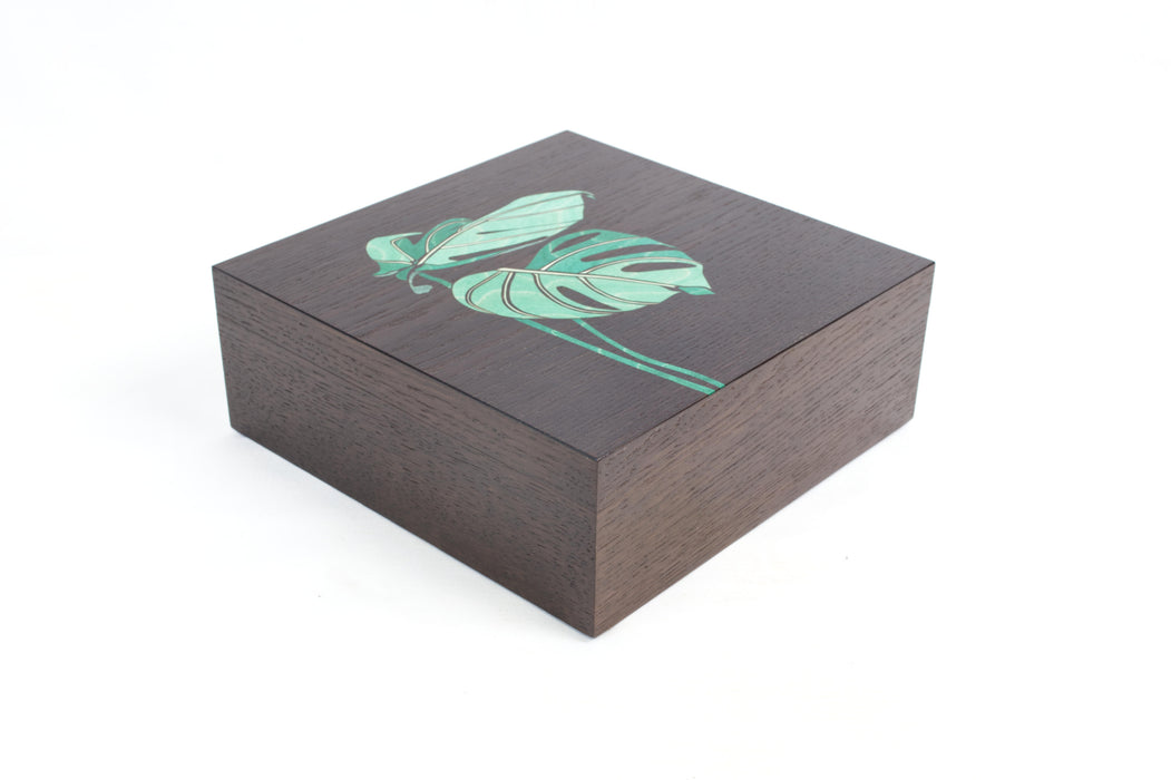 Monstera Leaf Box (KS172)
