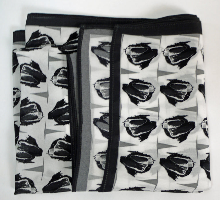 'Zooming In' white, silk scarf (AN347)