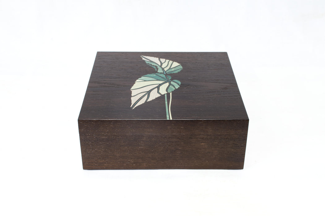 Begonia Leaf Box (KS176)