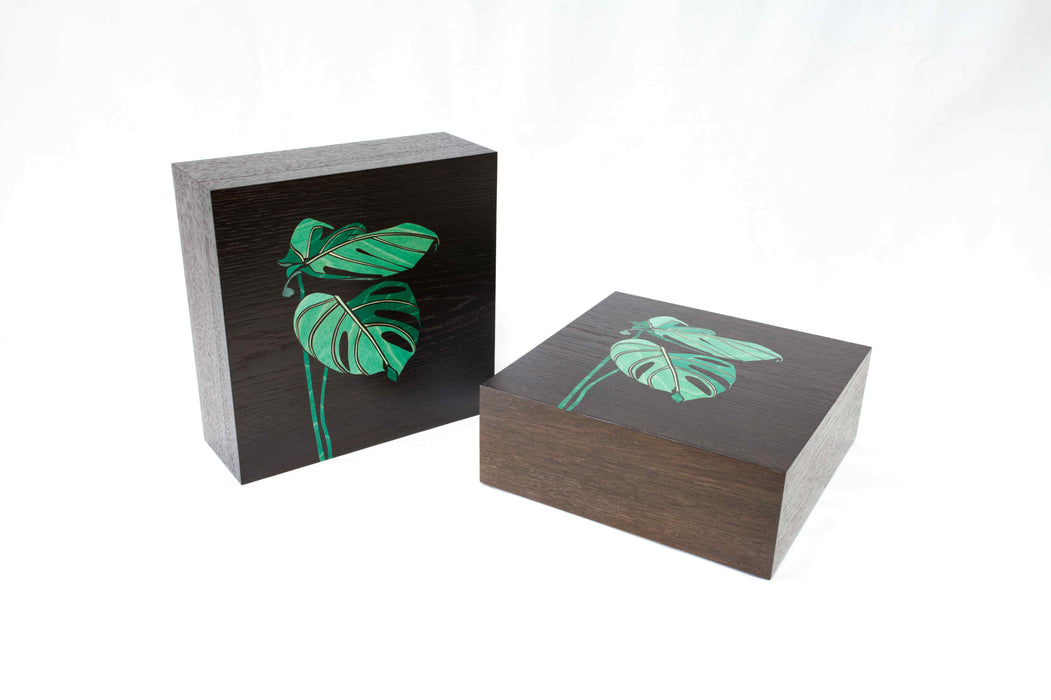 Monstera Leaf Box (KS172)