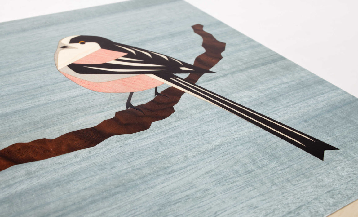 Long-Tailed Tit 240 Box (KS146)