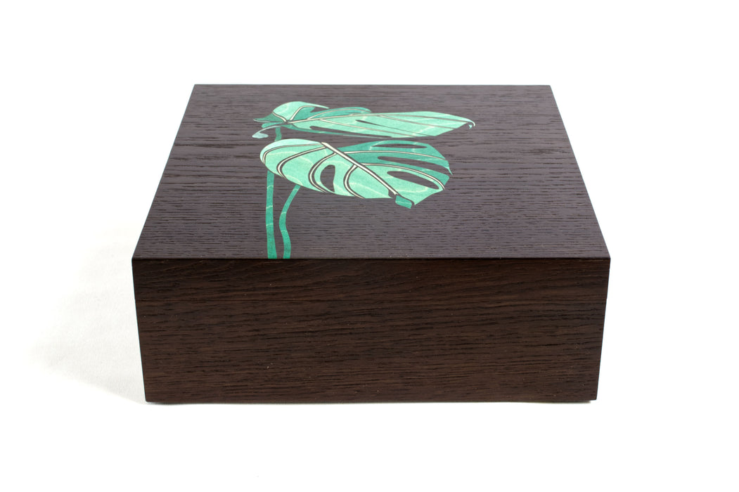 Monstera Leaf Box (KS172)