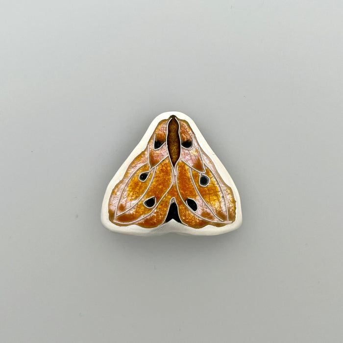 Moth brooch (SD359B)