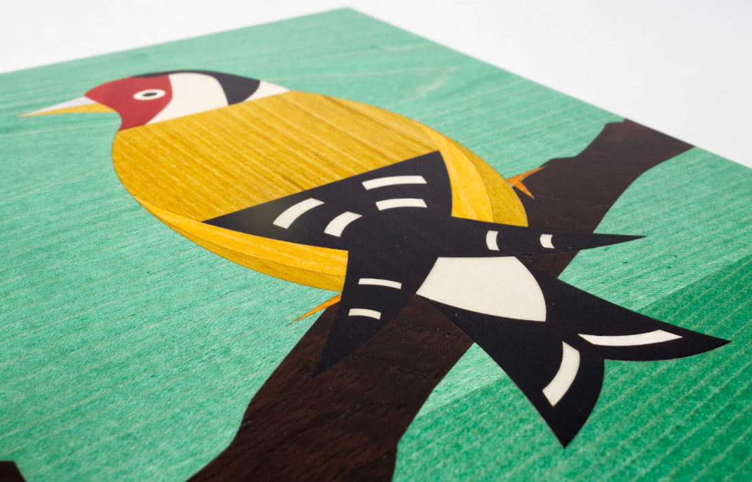 Gold Finch 240 Box (KS147)