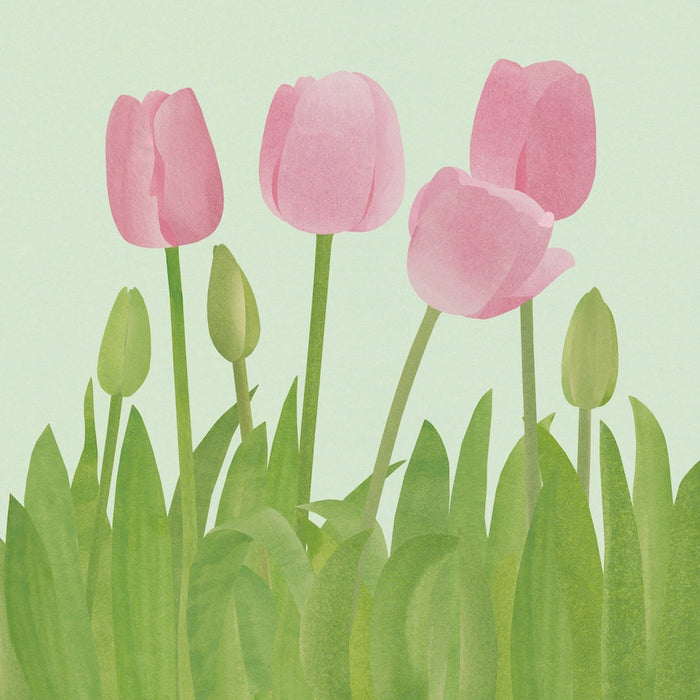 Tulips giclée print (FC117)