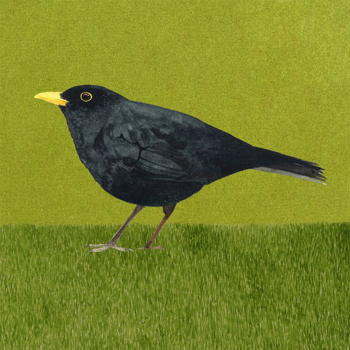 Blackbird giclée print (FC42)