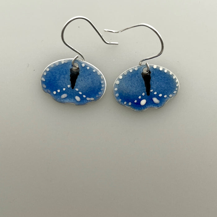 Butterfly earrings, blue (SD347K)